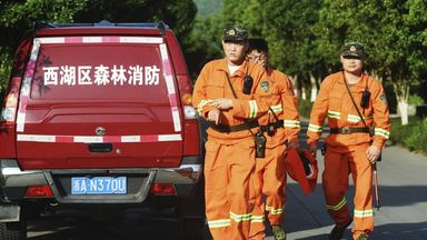 يشارك العمال في أعمال صيد النمر